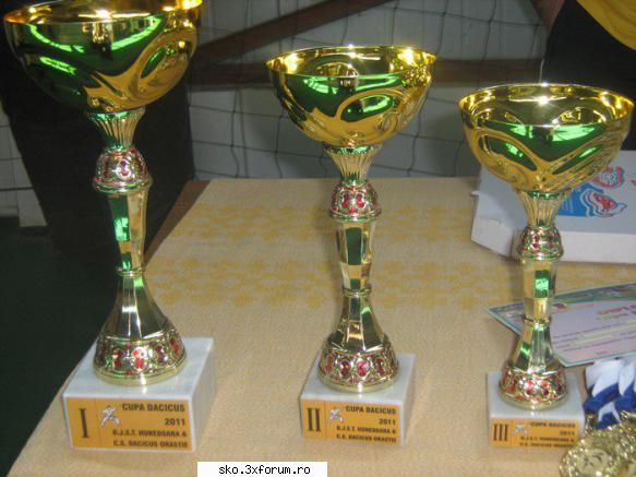 . foto trofee / medalii